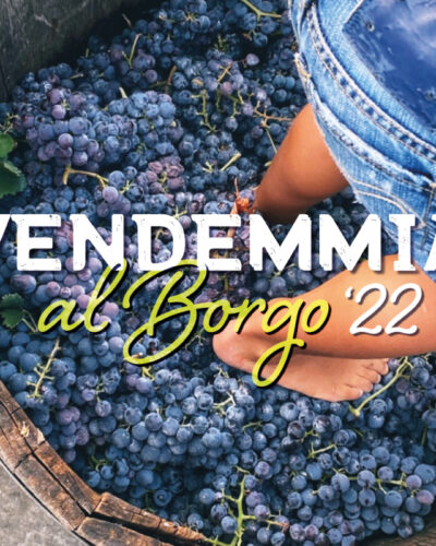 Vendemmia al Borgo