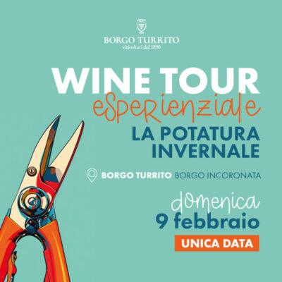 Wine tour esperienziale: la potatura invernale