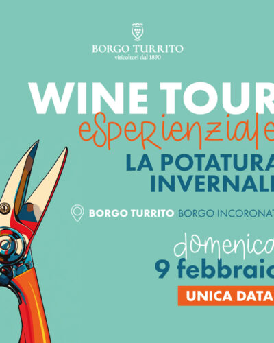 Wine tour esperienziale: la potatura invernale