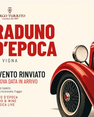 Raduno d'epoca in vigna - Visitatori
